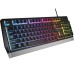 Tastatura Genesis Rhod 300 RGB, membrana, iluminare RGB, USB, negru